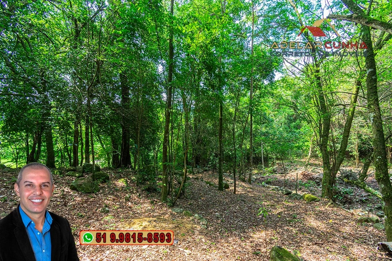 Sítio de 12 hectares à VENDA em Três Coroas-RS: 24ª foto da galeria de imagens do imóvel