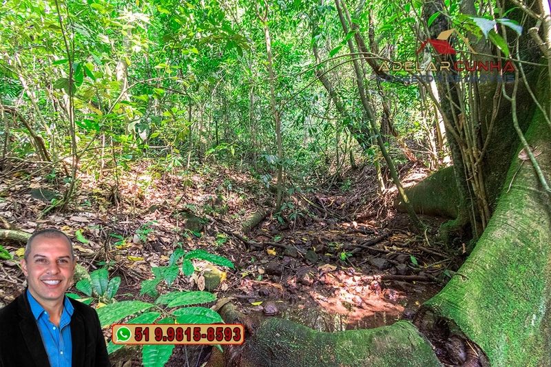 Sítio de 12 hectares à VENDA em Três Coroas-RS: 21ª foto da galeria de imagens do imóvel