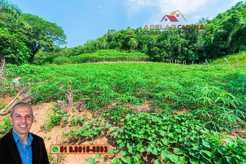 Sítio de 12 hectares à VENDA em Três Coroas-RS: 19ª foto da galeria de imagens do imóvel