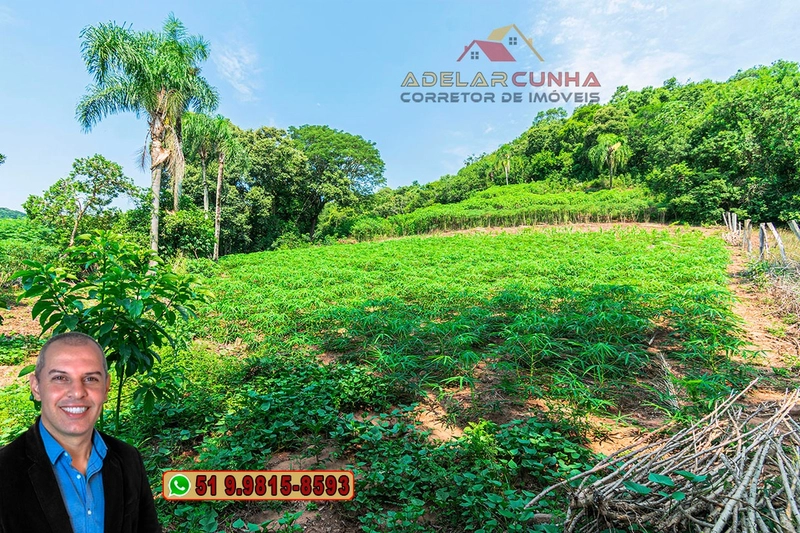 Sítio de 12 hectares à VENDA em Três Coroas-RS: 18ª foto da galeria de imagens do imóvel