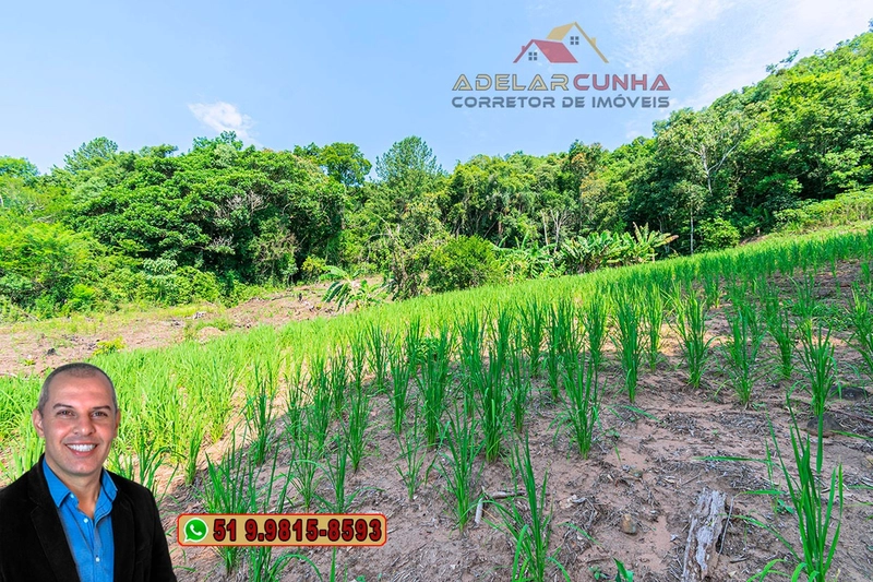 Sítio de 12 hectares à VENDA em Três Coroas-RS: 17ª foto da galeria de imagens do imóvel