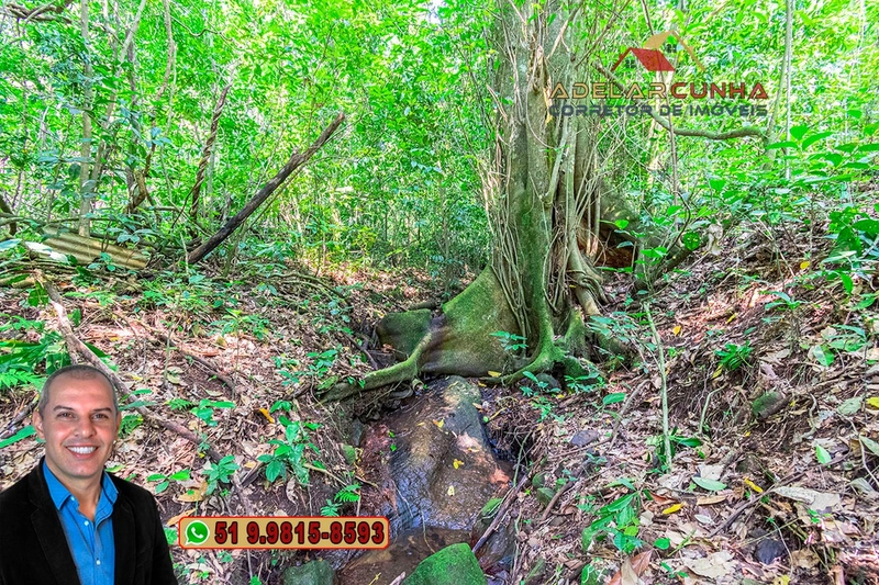 Sítio de 12 hectares à VENDA em Três Coroas-RS: 22ª foto da galeria de imagens do imóvel