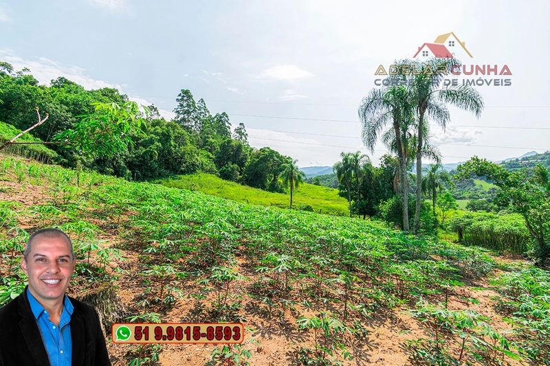 Sítio de 12 hectares à VENDA em Três Coroas-RS: 20ª foto da galeria de imagens do imóvel