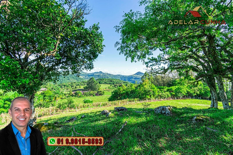 Chácara de 2.3 hectares à VENDA em Igrejinha - RS: 14ª foto da galeria de imagens do imóvel