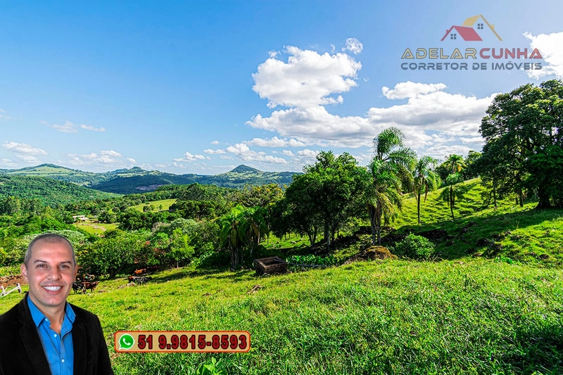 Chácara de 2.3 hectares à VENDA em Igrejinha - RS: 10ª foto da galeria de imagens do imóvel