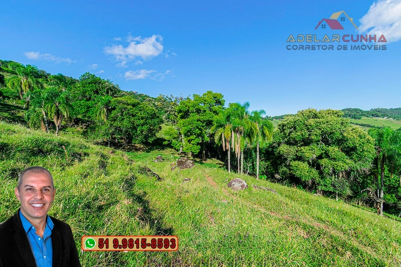 Chácara de 2.3 hectares à VENDA em Igrejinha - RS: 5ª foto da galeria de imagens do imóvel