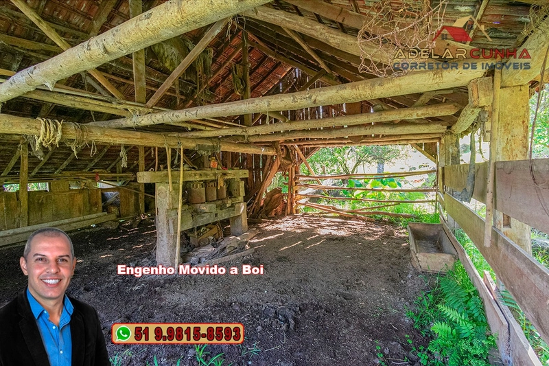 Chácara de 2.3 hectares à VENDA em Igrejinha - RS: 24ª foto da galeria de imagens do imóvel
