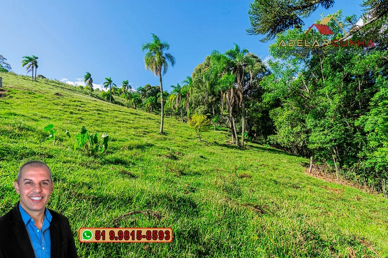Chácara de 2.3 hectares à VENDA em Igrejinha - RS: 7ª foto da galeria de imagens do imóvel