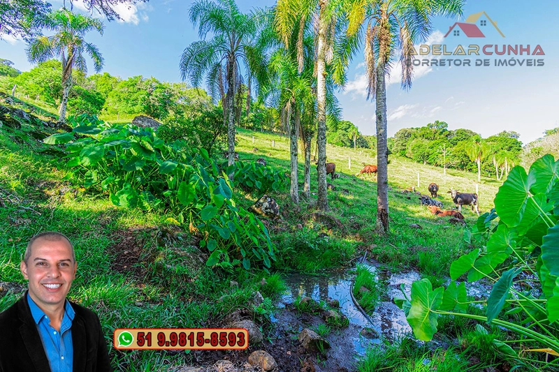 Chácara de 2.3 hectares à VENDA em Igrejinha - RS: 32ª foto da galeria de imagens do imóvel