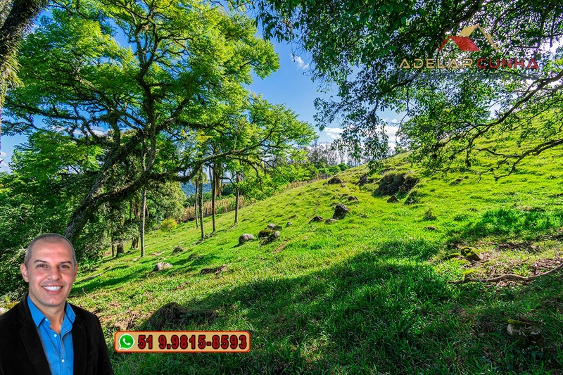 Chácara de 2.3 hectares à VENDA em Igrejinha - RS: 4ª foto da galeria de imagens do imóvel