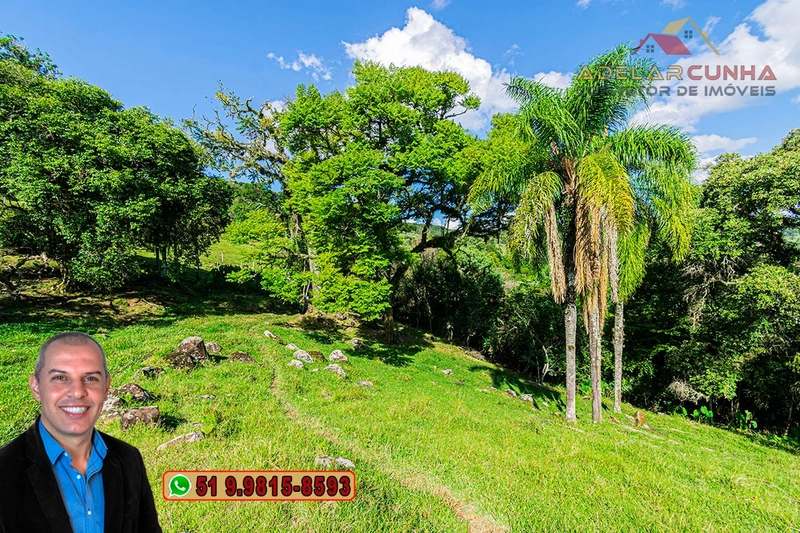 Chácara de 2.3 hectares à VENDA em Igrejinha - RS: 27ª foto da galeria de imagens do imóvel