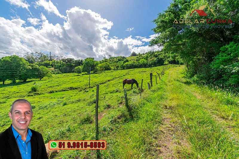 Chácara de 2.3 hectares à VENDA em Igrejinha - RS: 22ª foto da galeria de imagens do imóvel
