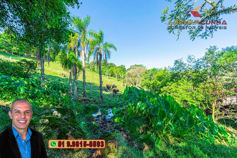 Chácara de 2.3 hectares à VENDA em Igrejinha - RS: 31ª foto da galeria de imagens do imóvel