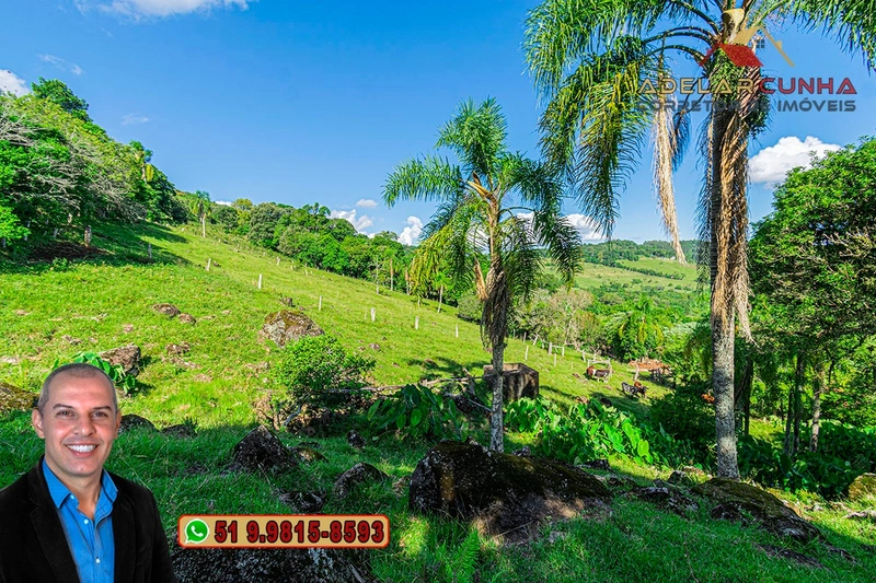 Chácara de 2.3 hectares à VENDA em Igrejinha - RS: 33ª foto da galeria de imagens do imóvel