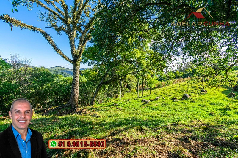 Chácara de 2.3 hectares à VENDA em Igrejinha - RS: 3ª foto da galeria de imagens do imóvel