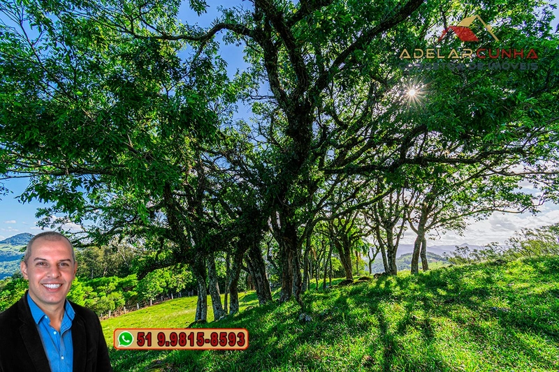 Chácara de 2.3 hectares à VENDA em Igrejinha - RS: 15ª foto da galeria de imagens do imóvel