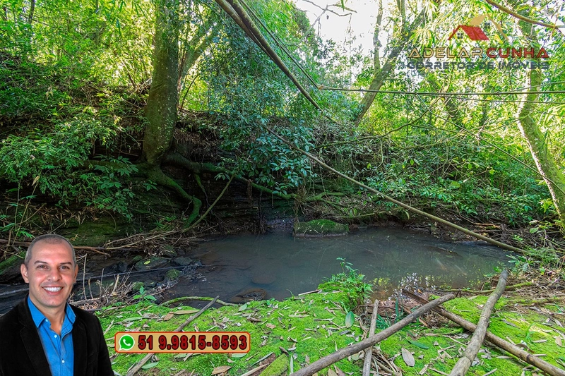 Sítio de 10.8 hectares com Riacho à VENDA em Taquara - RS: 57ª foto da galeria de imagens do imóvel