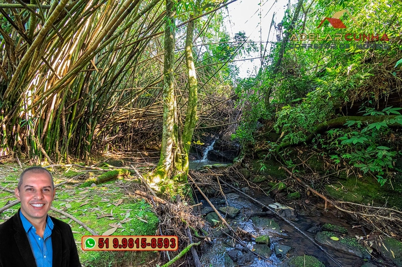 Sítio de 10.8 hectares com Riacho à VENDA em Taquara - RS: 58ª foto da galeria de imagens do imóvel