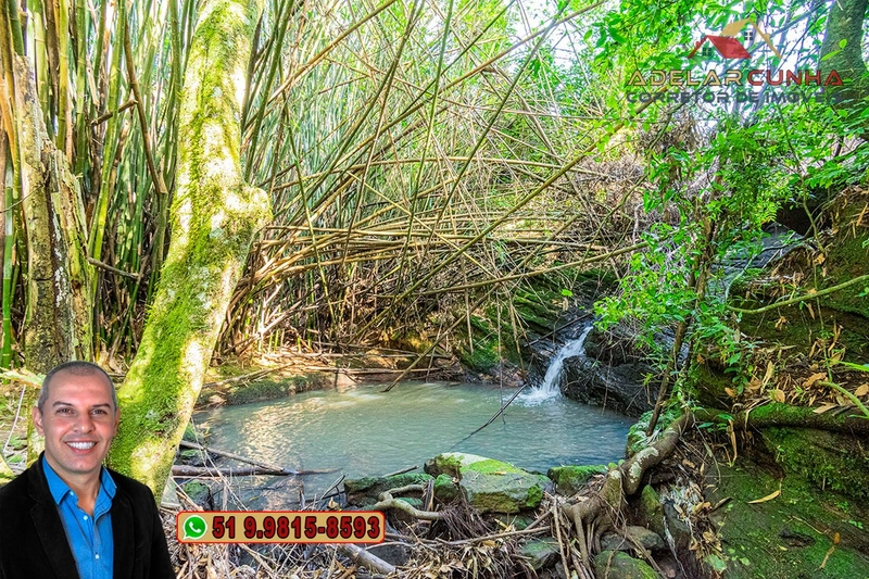 Sítio de 10.8 hectares com Riacho à VENDA em Taquara - RS: 59ª foto da galeria de imagens do imóvel