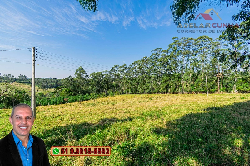 Sítio de 10.8 hectares com Riacho à VENDA em Taquara - RS: 6ª foto da galeria de imagens do imóvel