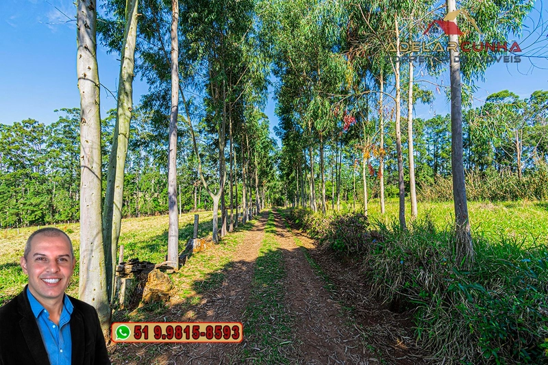 Sítio de 10.8 hectares com Riacho à VENDA em Taquara - RS: 5ª foto da galeria de imagens do imóvel