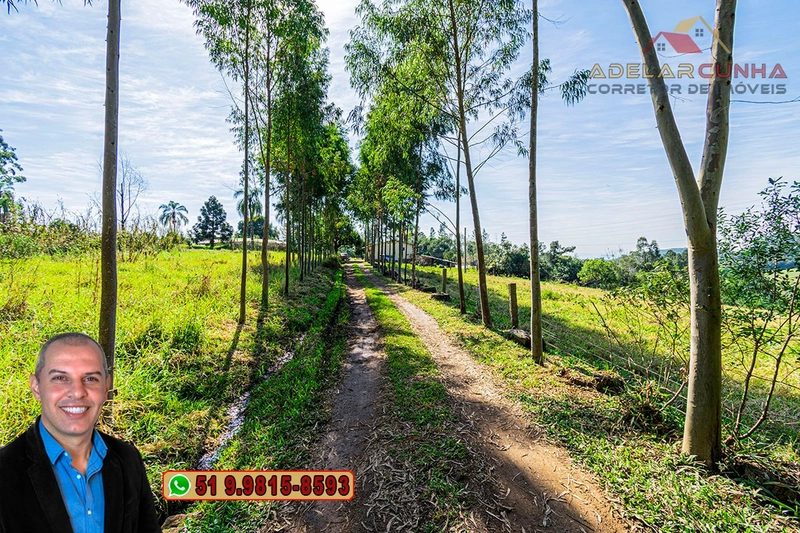 Sítio de 10.8 hectares com Riacho à VENDA em Taquara - RS: 3ª foto da galeria de imagens do imóvel