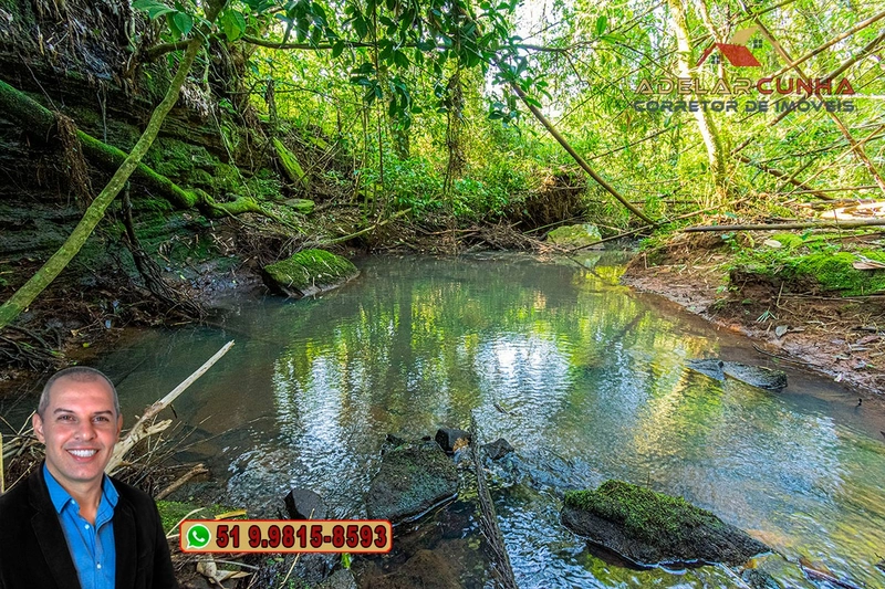 Sítio de 10.8 hectares com Riacho à VENDA em Taquara - RS: 60ª foto da galeria de imagens do imóvel