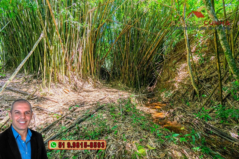 Chácara com 4.1 hectares à VENDA em Taquara - RS: 47ª foto da galeria de imagens do imóvel