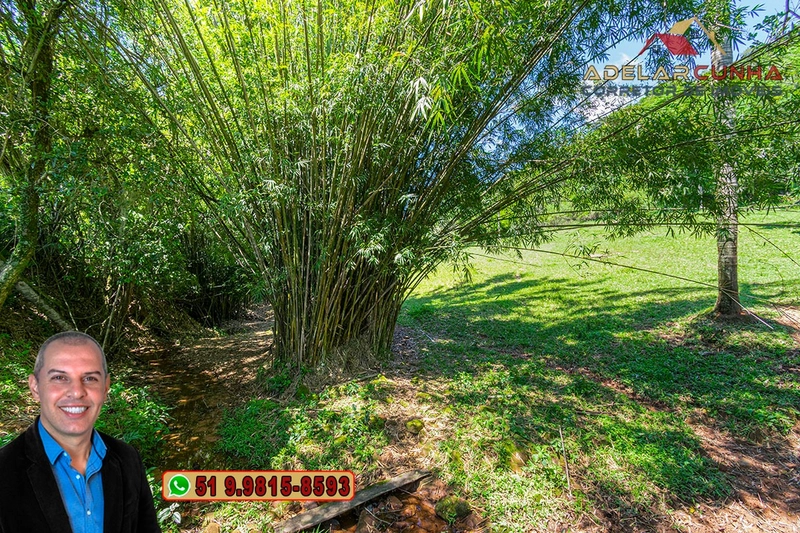 Chácara com 4.1 hectares à VENDA em Taquara - RS: 46ª foto da galeria de imagens do imóvel