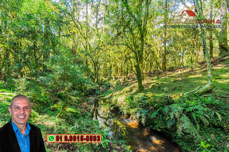 Sítio de 15 hectares à VENDA em São Francisco de Paula - RS: 30ª foto da galeria de imagens do imóvel