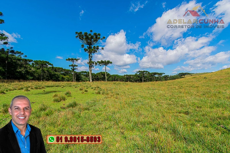 Sítio de 15 hectares à VENDA em São Francisco de Paula - RS: 23ª foto da galeria de imagens do imóvel