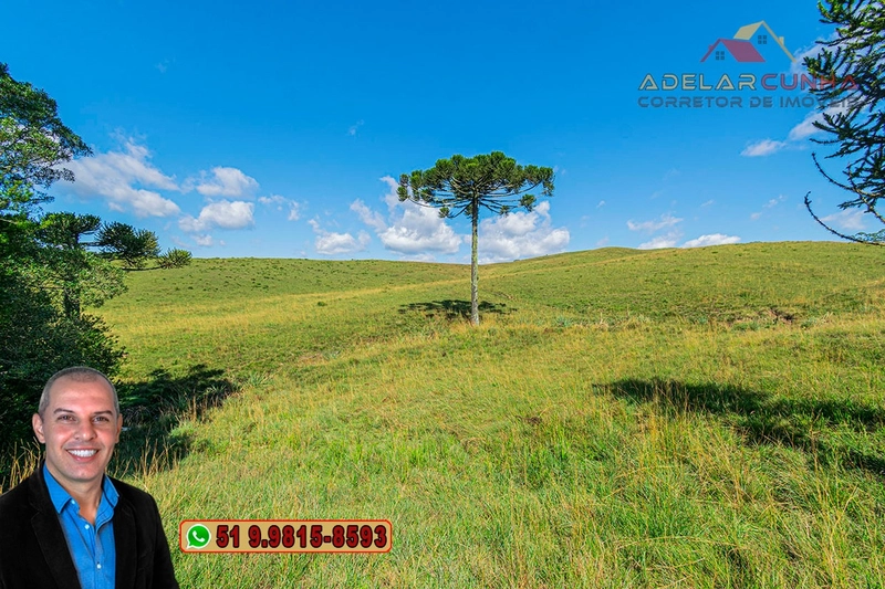 Sítio de 15 hectares à VENDA em São Francisco de Paula - RS: 16ª foto da galeria de imagens do imóvel