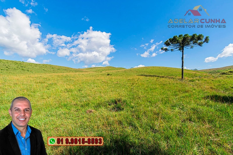 Sítio de 15 hectares à VENDA em São Francisco de Paula - RS: 36ª foto da galeria de imagens do imóvel