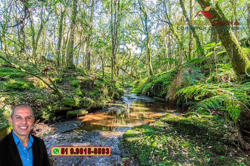Sítio de 15 hectares à VENDA em São Francisco de Paula - RS: 32ª foto da galeria de imagens do imóvel
