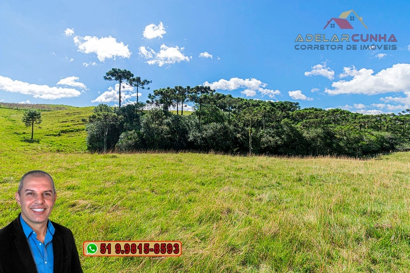 Sítio de 15 hectares à VENDA em São Francisco de Paula - RS: 37ª foto da galeria de imagens do imóvel