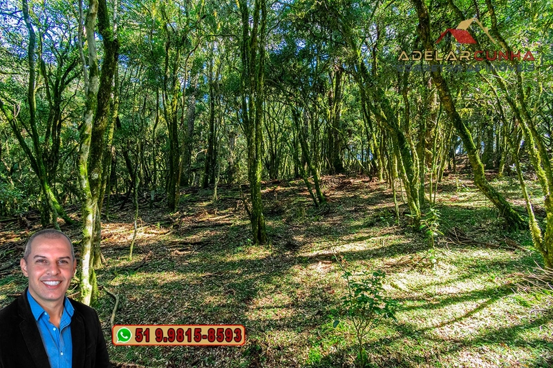 Sítio de 15 hectares à VENDA em São Francisco de Paula - RS: 26ª foto da galeria de imagens do imóvel