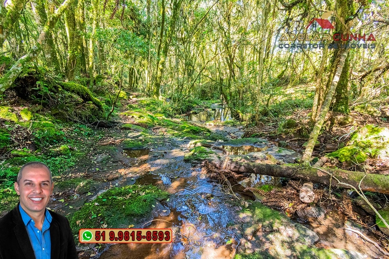 Sítio de 15 hectares à VENDA em São Francisco de Paula - RS: 34ª foto da galeria de imagens do imóvel