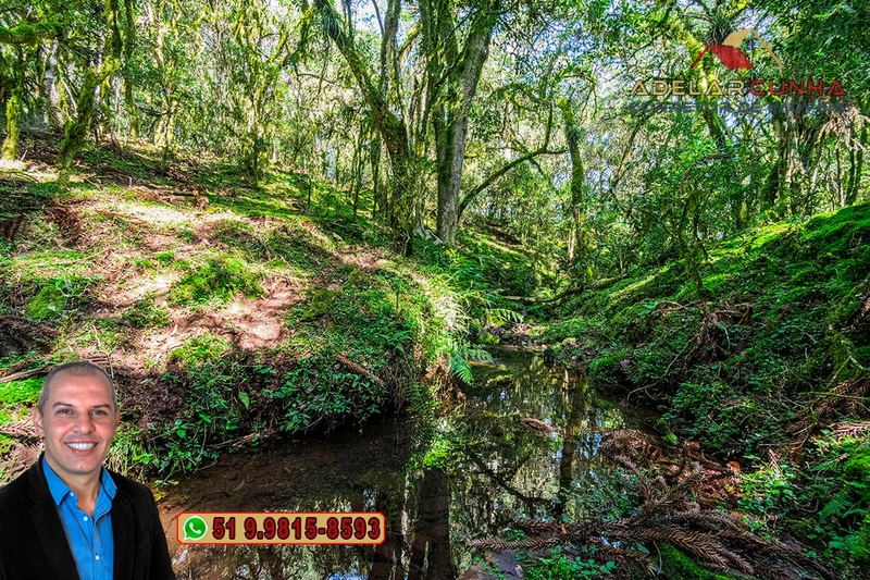 Sítio de 15 hectares à VENDA em São Francisco de Paula - RS: 29ª foto da galeria de imagens do imóvel
