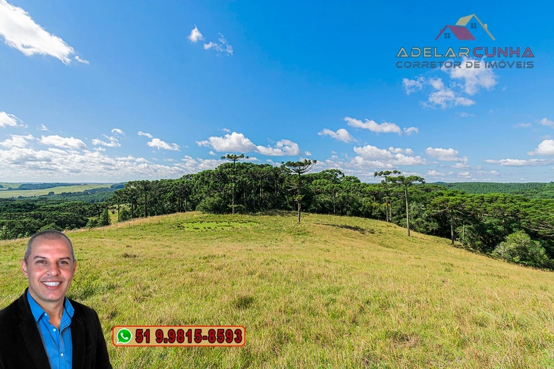 Sítio de 15 hectares à VENDA em São Francisco de Paula - RS: 21ª foto da galeria de imagens do imóvel