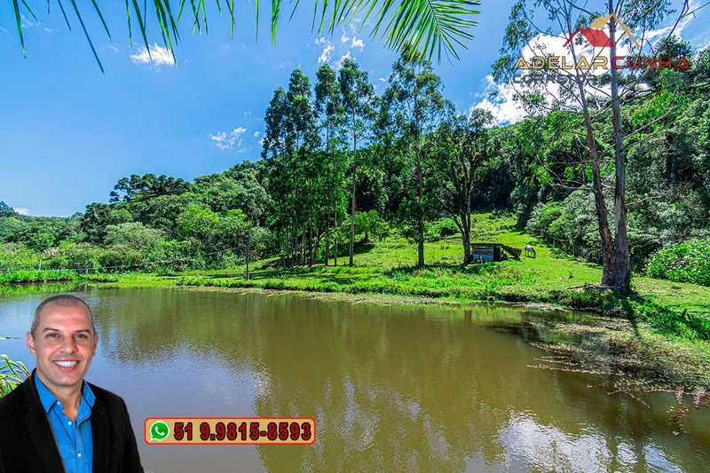 Chácara com 7.000 metros quadrados à VENDA em Serra Grande - RS: 14ª foto da galeria de imagens do imóvel