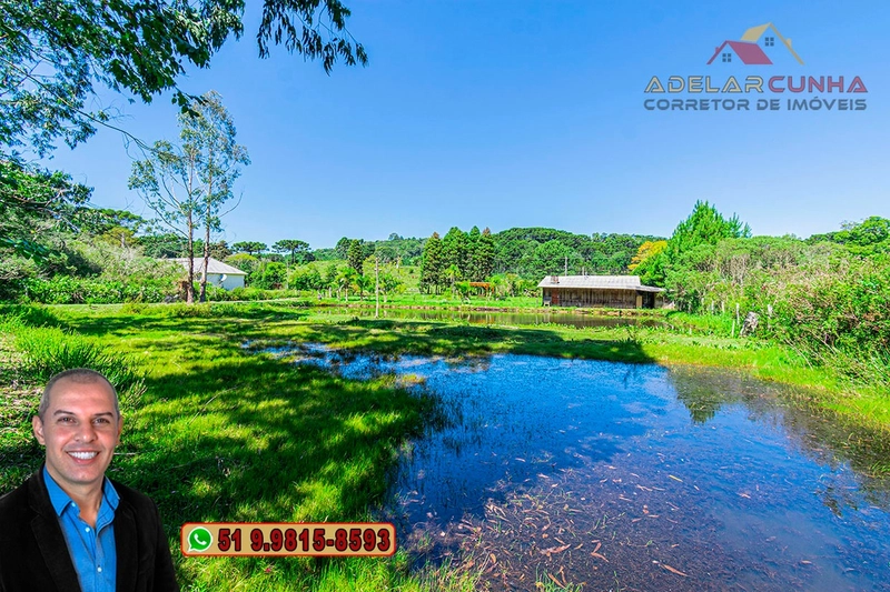 Chácara com 7.000 metros quadrados à VENDA em Serra Grande - RS: 30ª foto da galeria de imagens do imóvel