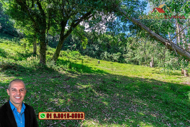Chácara com 7.000 metros quadrados à VENDA em Serra Grande - RS: 20ª foto da galeria de imagens do imóvel