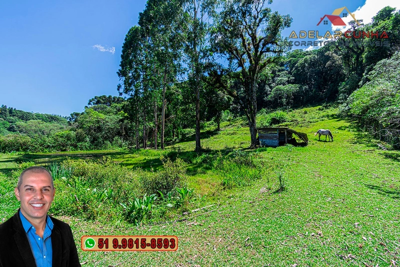 Chácara com 7.000 metros quadrados à VENDA em Serra Grande - RS: 22ª foto da galeria de imagens do imóvel