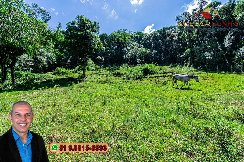 Chácara com 7.000 metros quadrados à VENDA em Serra Grande - RS: 31ª foto da galeria de imagens do imóvel