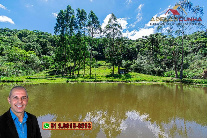 Chácara com 7.000 metros quadrados à VENDA em Serra Grande - RS: 12ª foto da galeria de imagens do imóvel
