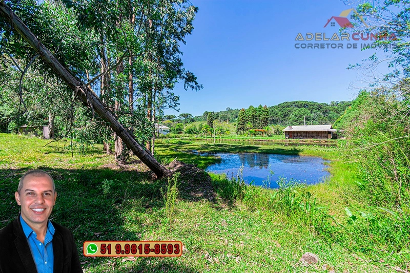 Chácara com 7.000 metros quadrados à VENDA em Serra Grande - RS: 19ª foto da galeria de imagens do imóvel