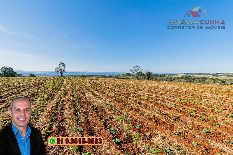 Sugestões de Chácaras e Sítio à VENDA em Taquara - RS: 2ª foto da galeria de imagens do imóvel