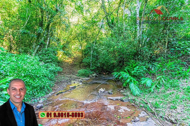 Chácara de 6 hectares à Venda em Nova Hartz – RS: 71ª foto da galeria de imagens do imóvel