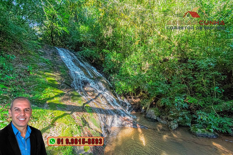 Chácara de 6 hectares à Venda em Nova Hartz – RS: 54ª foto da galeria de imagens do imóvel