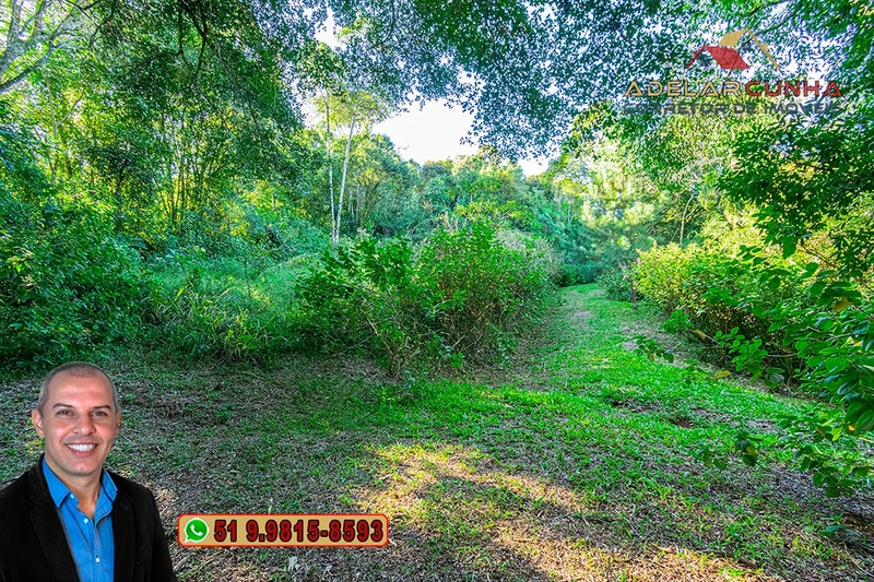 Chácara de 6 hectares à Venda em Nova Hartz – RS: 63ª foto da galeria de imagens do imóvel